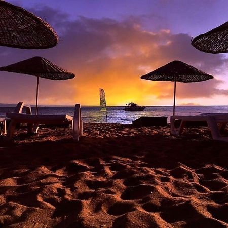 Cicek Evler Tatil Koeyue Armutlu Exterior foto