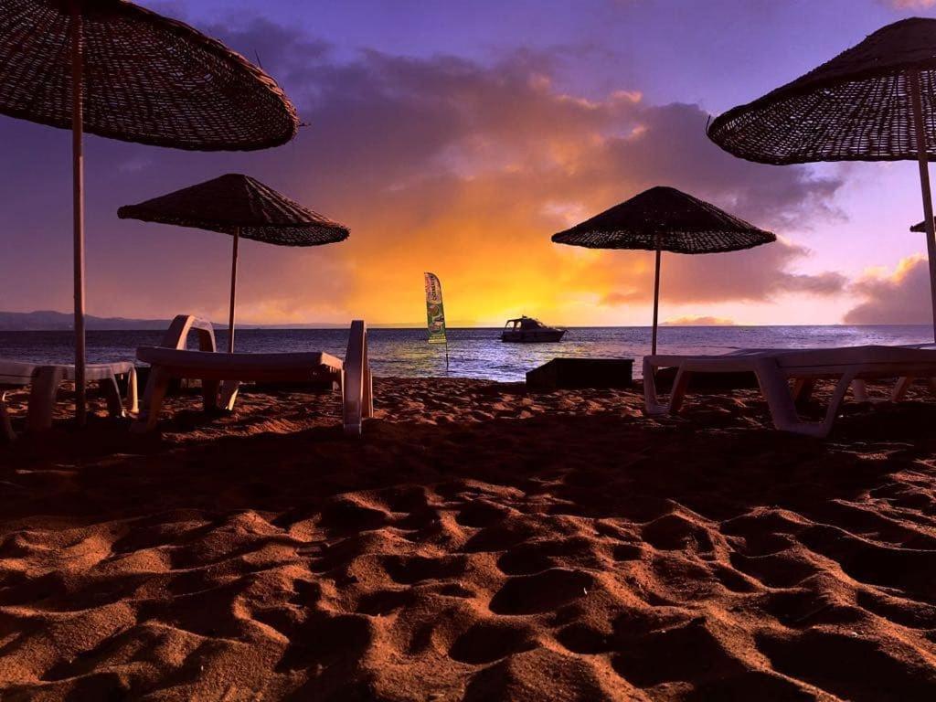 Cicek Evler Tatil Koeyue Armutlu Exterior foto